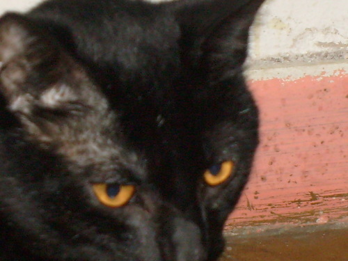 netbios1's profile picture. Padre de familia.