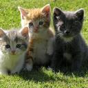 nadia basil - @mebecandy - Twitter