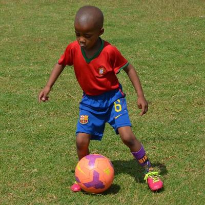 pepesa (pepesa5) Twitter