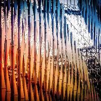 Robert Waltman (@robwaltmanphoto) 's Twitter Profile Photo