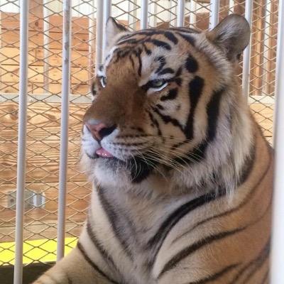 BRFD1991's profile picture. 