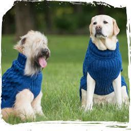 BobbieGlue Inc. is dedicated to provide an innovative alternative to dress and spoil your loyal pets with unique Dog wear collections in premium alpaca wool.