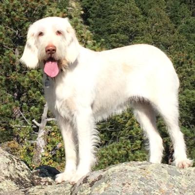 jimcowarthome's profile picture. WUI Resident