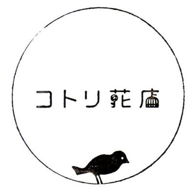 フローリストです。 花束、アレンジギフトの全国発送、ブライダル装花*オーダーはHPから承ります。12:00〜17:00open木曜金曜定休日（装花業務による不定休あり）0423325617mail＊kotorihanaten@gmail.com * https://t.co/bXlDVg933A*