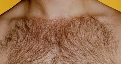 Get the Best News about Body Hair here!
