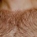 Body Hair Removal (@bodyhairremoval) Twitter profile photo