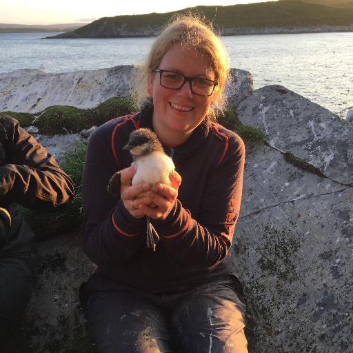 Seabirds, the ocean and climate change. Hornøya birdcliff. Juggling my life between  academia and being a mom - opinions are my own