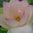 unit3_914_ep4's profile image