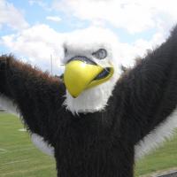 PSAS Class of 2016 (@psasclassof2016) 's Twitter Profile