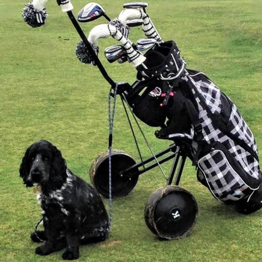 mom & grandmom. Love my golf....especially in Scotland.                                                     #resist  #indivisible