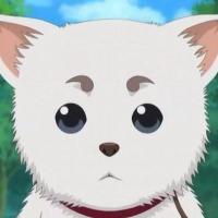 定春（zuma) (@macoto711) Twitter profile photo