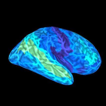 Trying to understand the structure of neural representations, and how the brain represents meaning. In the @UoR_BrainCogSci dept @UofR