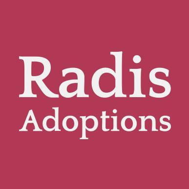 I specialize in Independent, Agency Identified and Traditional Agency adoptions.  I believe adoption is more than a legal process; it's an emotional experience