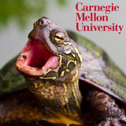 I'm Aristotle the Philosophy Turtle. I think deep thoughts and share news as the official voice of Carnegie Mellon University's Philosophy Dept. Check me out.