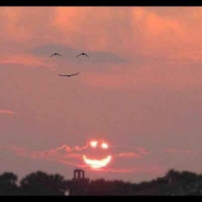 dskinner62's profile picture. 