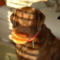 jwainwright (@jwainwright) 's Twitter Profile