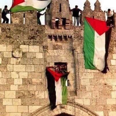 7azem22's profile picture. 