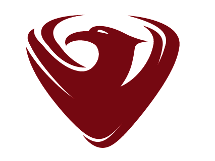The official Phoenix area Ruby meetup. Once a month meeting, occasional hack-a-thons and other events.