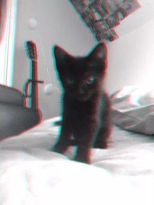 MaMarinela22's profile picture. .....