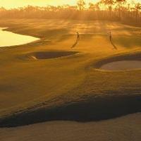 Kelly Plantation (@kellyplantation) 's Twitter Profile