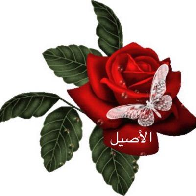 alasil220's profile picture. الصبرعندي مفتاح للأمل ونظرتي للغد أفضل من اليوم