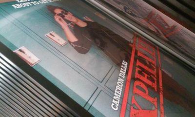 puppylovegirl1's profile picture. young teen girl  just looking to make  some new friends