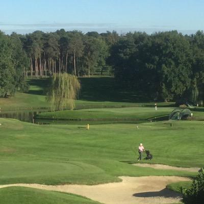 rafeb7's profile picture. 