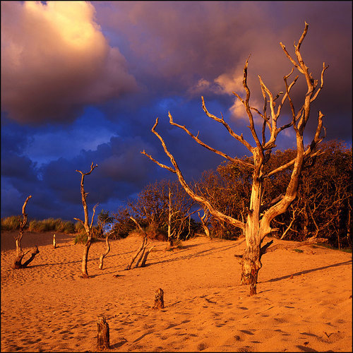 egbertwillems's profile picture. 