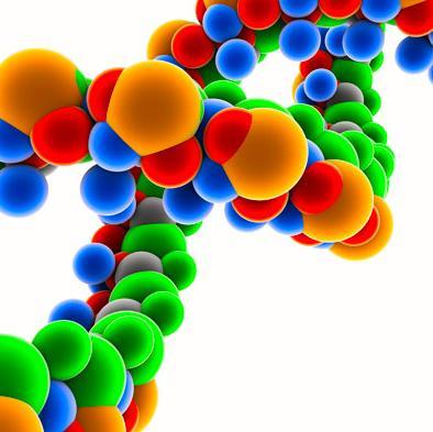 Matching DNA profiles to understand each day’s most likely outcome