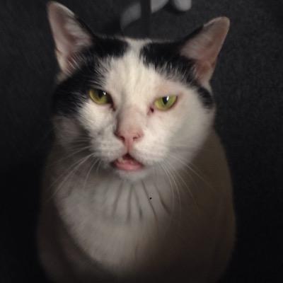 KCDaAFhWIzhH7lZ's profile picture. 