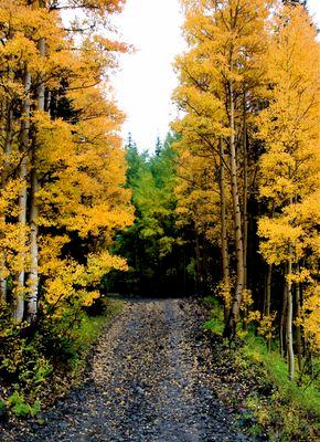 KBhangoo's profile picture. 