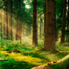 mayoliribeiro22's profile picture. 