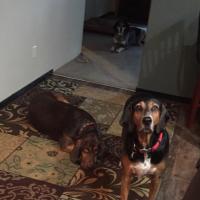 Valerie Seeley (@valseeley7) 's Twitter Profile Photo Valerie Seeley (@valseeley7) 's Twitter Profile Photo