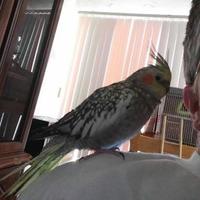 Janet Texford (@texfordj) 's Twitter Profile