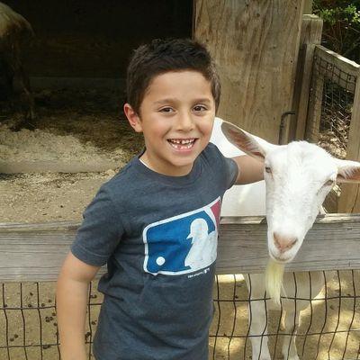 josefinalara22's profile picture. 