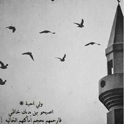 فقيدي.فقيدتي القلب يشتاق والعين تبكي على فقدكم