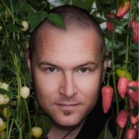 Fatalii.net (@fatalii_net) 's Twitter Profile