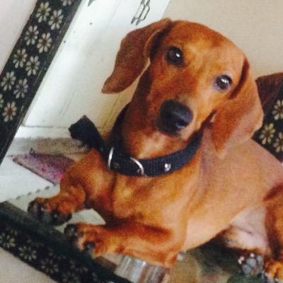 imzesjay's profile picture. i am what i am...