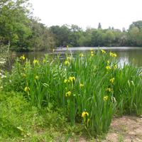 tony bell (@highamspklabour) 's Twitter Profile