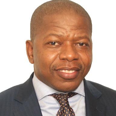 Member Of THE National Parliament, Vice President of THE mozambican business association, fomer board member at THE National Roads Authority (ANE) and GAPI