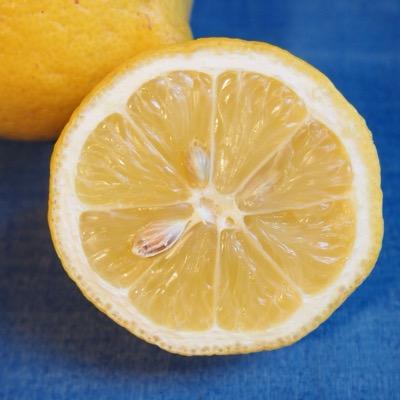 LimoneSi è un #food & #lifestyle blog dove trovare #ricette, #consigli, #curiosità e tanto altro su uno dei frutti più cool del momento!