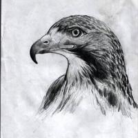 ZAZA HALK PARTİSİ (@zazahalkpartisi) Twitter profile photo