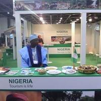 Tunde Akintunde (@travelssolution) 's Twitter Profile