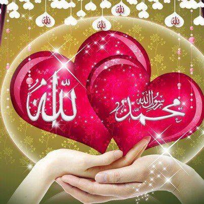 We Tweet DaiLy Collection's Of New CLassic Heart Touching UrduPoetry UrduShairi And Much More
Follow @KhaLi_DiL
Send To 40404.
#Contact
03418525653