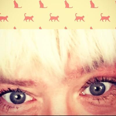 Bellikatten1's profile picture. Musikälskande malmöitiska med intresse för Livet! Lek och allvar och alltid genuin. Djur? JAAA!!! Kultur? Givetvis! Men främst värme, sann kärlek & progression!