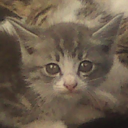 syouhikaru's profile picture. 「山河令」にドはまりして、中国ドラマ見てます。
好きな中国ドラマ「山河令」「陳情令」「成化十四年」「瓔珞」「紫禁城～華の嵐～」「風起洛陽」「斛珠＜コクジュ＞夫人～真珠の涙～」

朝ドラ、大河ドラマも見てます。