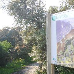 infocotedopale's profile picture. 