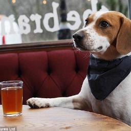 At the bar, havin' a beer with my Best Friend! Somewhere in the South.