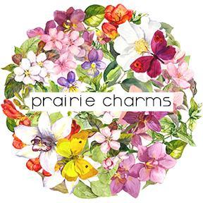 Handmade & carefully curated Accessories. We ship worldwide! Instagram: prairiecharms
We'll be back in May 2016!