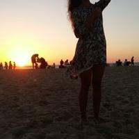 Zohar (@zoharkolevsky) 's Twitter Profile